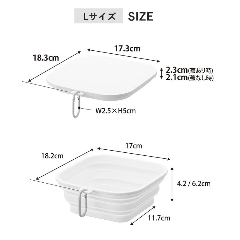 294068173719_10.jpg
