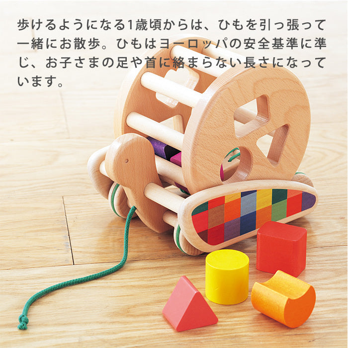 356145484881_5.jpg