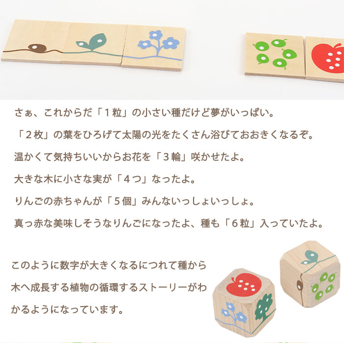 465727961113_4.jpg