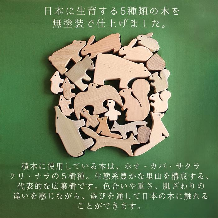 550303259891_9.jpg