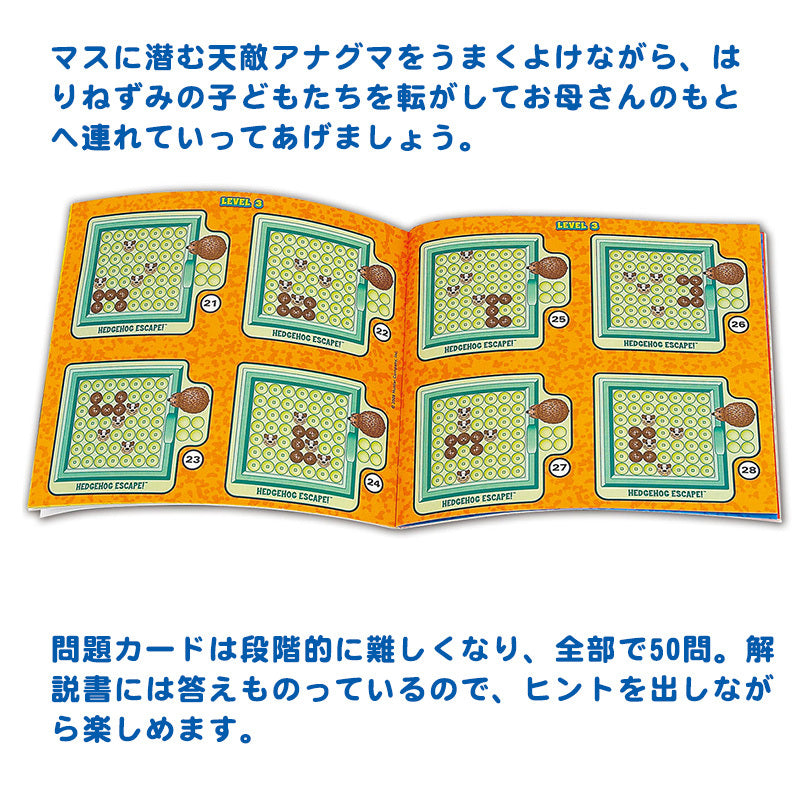 953440434976_3.jpg