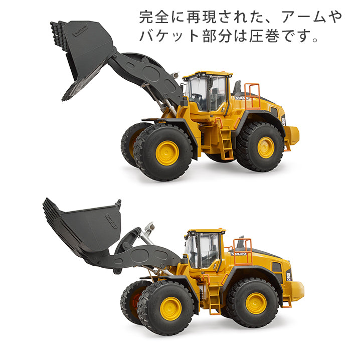 986887393292_9.jpg