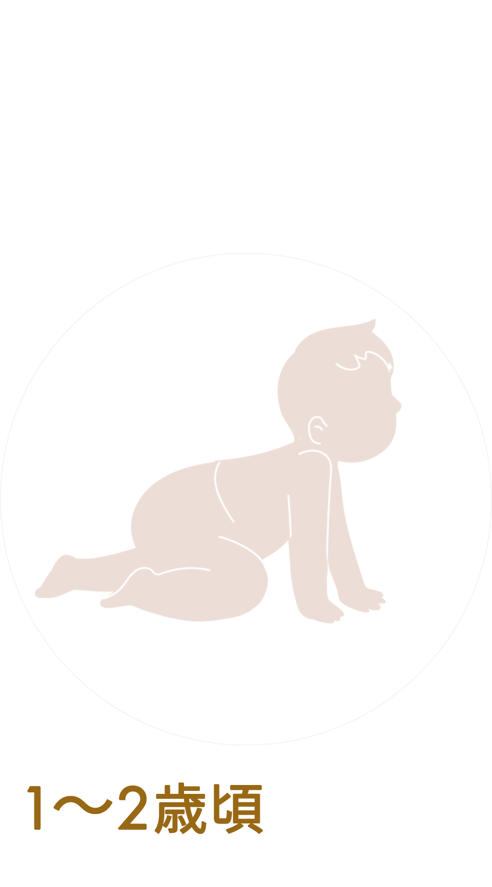 月齢別アイテム > 1～2歳頃