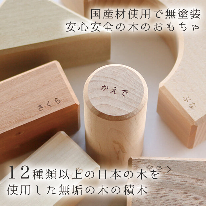 134045460584_5.jpg