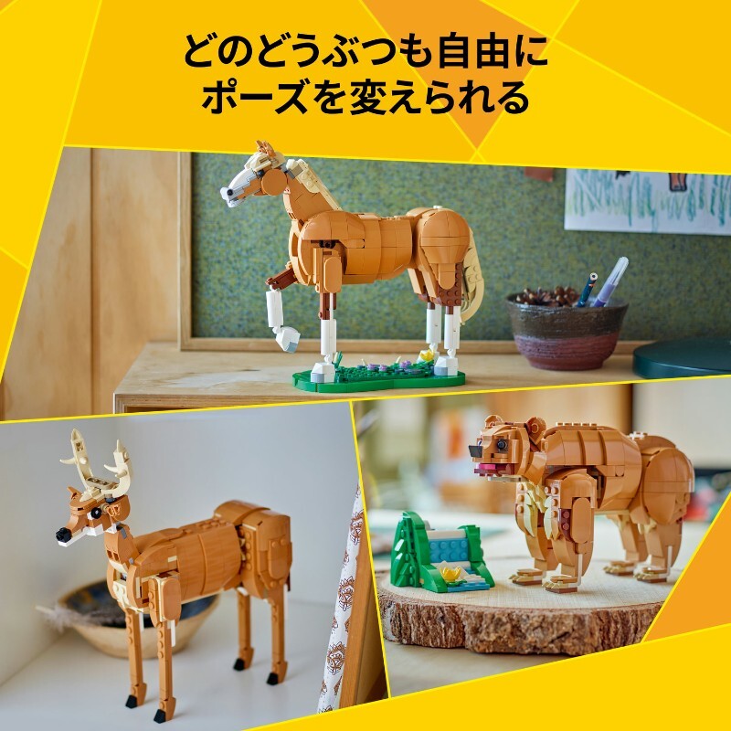 151120624920_5.jpg