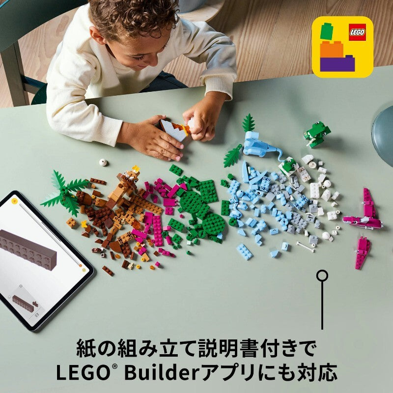 187102972389_7.jpg