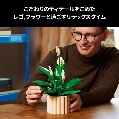 573400375903_4.jpg