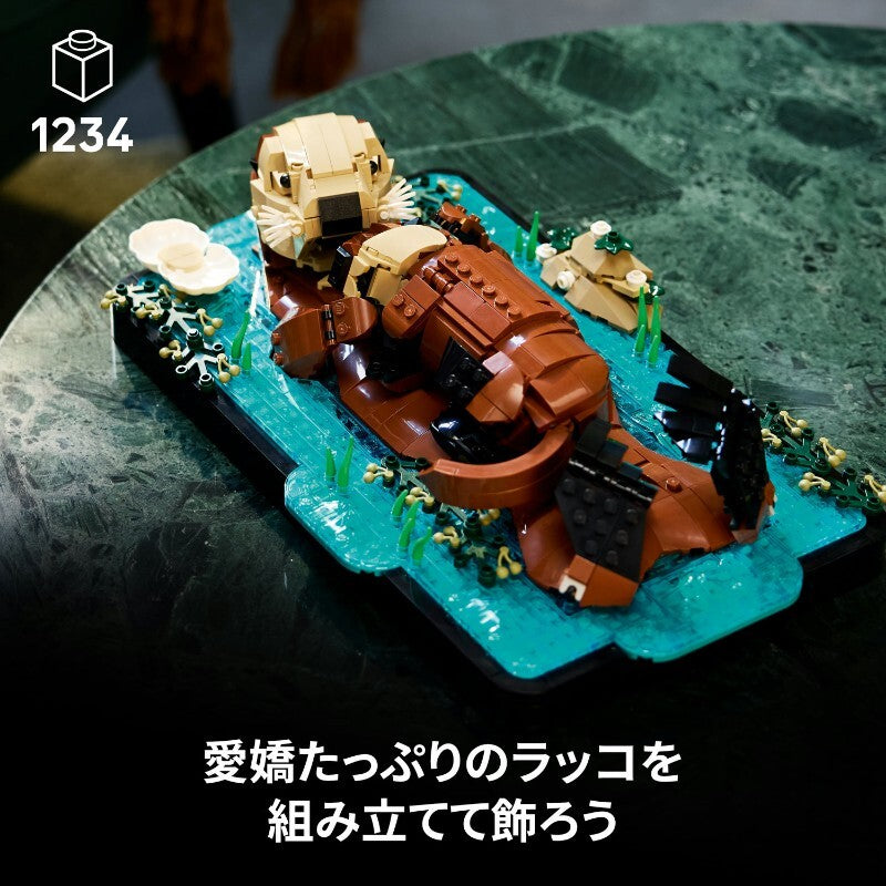 797136638688_3.jpg