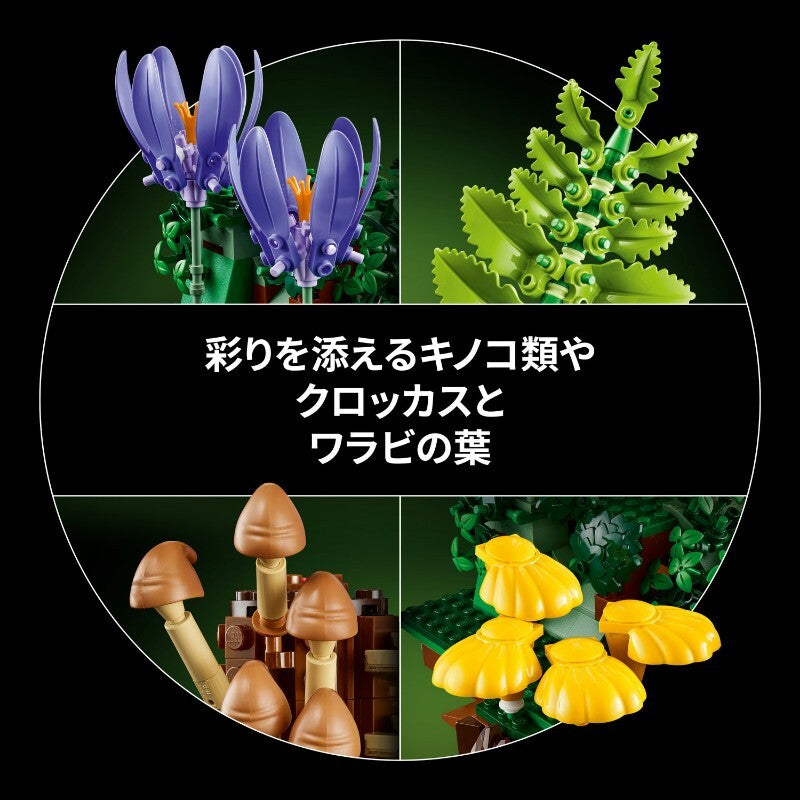 977797384178_6.jpg
